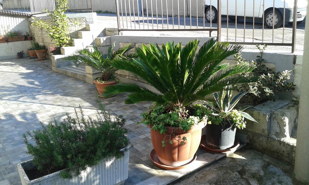 Il Pergolato Βίλα Ματέρα Εξωτερικό φωτογραφία